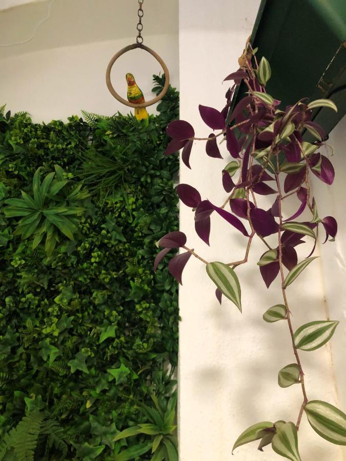 Naturehouse Campo Maior Exterior foto
